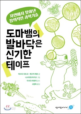 도마뱀의 발바닥은 신기한 테이프