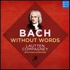 Lautten Compagney 바흐: 칸타타 아리아의 기악 편곡집 (J.S. Bach Without Words) 라우텐 콤파니, 볼프강 카슈너
