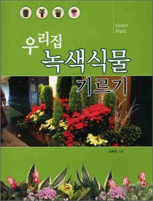 우리집 녹색식물 기르기