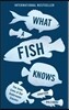 What a Fish Knows