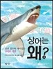 상어는 왜?