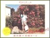 蒼井優ポストカ-ド寫眞集 ポルトガ-ル