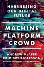 Machine, Platform, Crowd