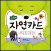 곰돌이 자연카드