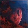 박재범 (Jay Park) 정규앨범 : Everything You Wanted [+스페셜 커버 포함 패키지]