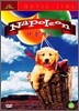 나폴레옹 (1Disc)