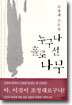 누구나 홀로 선 나무