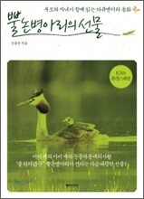 뿔논병아리의 선물