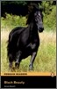 Level 2: Black Beauty