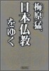 梅原猛,日本佛敎をゆく