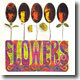 Rolling Stones - Flowers
