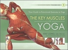 Key Muscles of Yoga: Your Guide to Functional Anatomy in Yoga