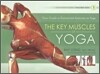 Key Muscles of Yoga: Your Guide to Functional Anatomy in Yoga