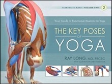 The Key Poses of Yoga
