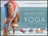 The Key Poses of Yoga