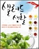 샐러드 생활