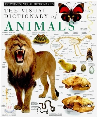 The Visual Dictionary of Animals