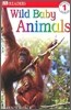 DK Readers Beginning 1 : Wild Baby Animals (Book & CD Set)