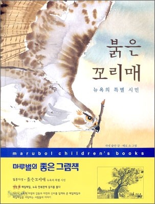 붉은 꼬리매