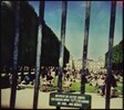 Tame Impala (테임 임팔라) - Lonerism