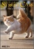 STREET CATS のらねこ。寫眞集