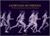 Eadweard Muybridge: The Human and Animal Locomotion Photographs