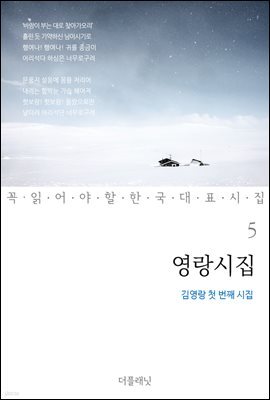 영랑시집 : 김영랑 첫 번째 시집 - 꼭 읽어야 할 한국 대표 시집 05