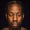 2 Chainz (투 체인즈) - 2Collegrove [2LP]