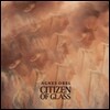 Agnes Obel (아그네스 오벨) - Citizen of Glass