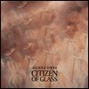 Agnes Obel (아그네스 오벨) - 3집 Citizen of Glass [LP]