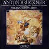 Wolfgang Sawallisch 브루크너: 교향곡 6번 (Bruckner: Symphony No.6) 볼프강 자발리쉬 [LP]