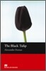 The Macmillan Readers Black Tulip The Beginner