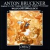 Wolfgang Sawallisch 브루크너: 교향곡 6번 - 볼프강 자발리쉬 (Bruckner: Symphony No.6)