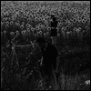 Jesu/Sun Kil Moon - Jesu / Sun Kil Moon (Gatefold)(Vinyl)(2LP)