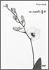 새 시대의 종교