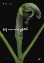 죽을 때까지 이 걸음으로