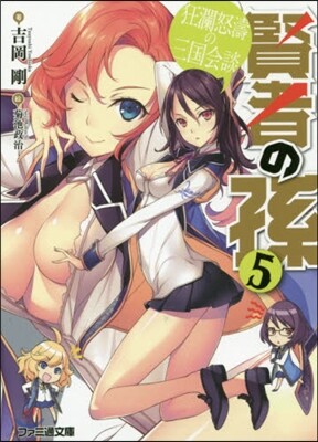 賢者の孫(5)狂瀾怒濤の三國會談