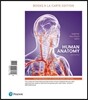 Human Anatomy