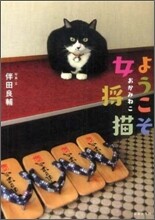 ようこそ女將猫