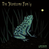 Handsome Family - Unseen (LP)