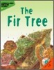 The Fir Tree