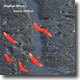Stephan Micus - Towards The Wind 스테판 미쿠스
