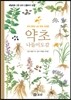 약초 나들이도감