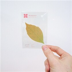 [APPREE] the leaf it 소