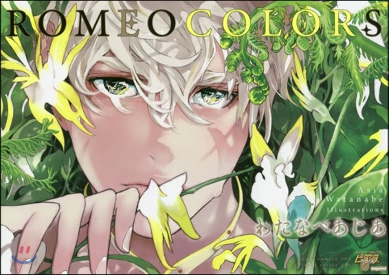 ROMEO COLORS