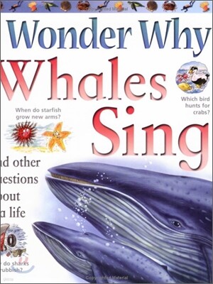 I Wonder Why #18 : Whales Sing and Other Questions about Sea Life