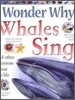 I Wonder Why #18 : Whales Sing and Other Questions about Sea Life