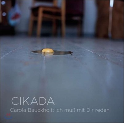 Cikada Ensemble 카롤라 바우크홀트: 작품집 - We Must Talk (Carola Bauckholt: Ich Muss mit Dir Reden) 시카다 앙상블