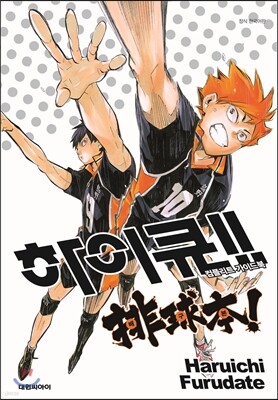 하이큐 컴플리트 가이드북 배구본!