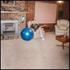 Julia Jacklin (줄리아 재클린) - Don't Let the Kids Win [LP]